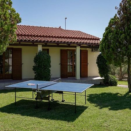 Lefkothea Villas With Large Pool, Bbq & Playground Adelianos Kampos Exterior photo