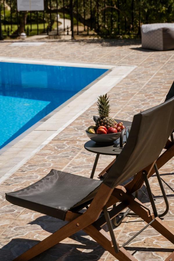 Lefkothea Villas With Large Pool, Bbq & Playground Adelianos Kampos Exterior photo
